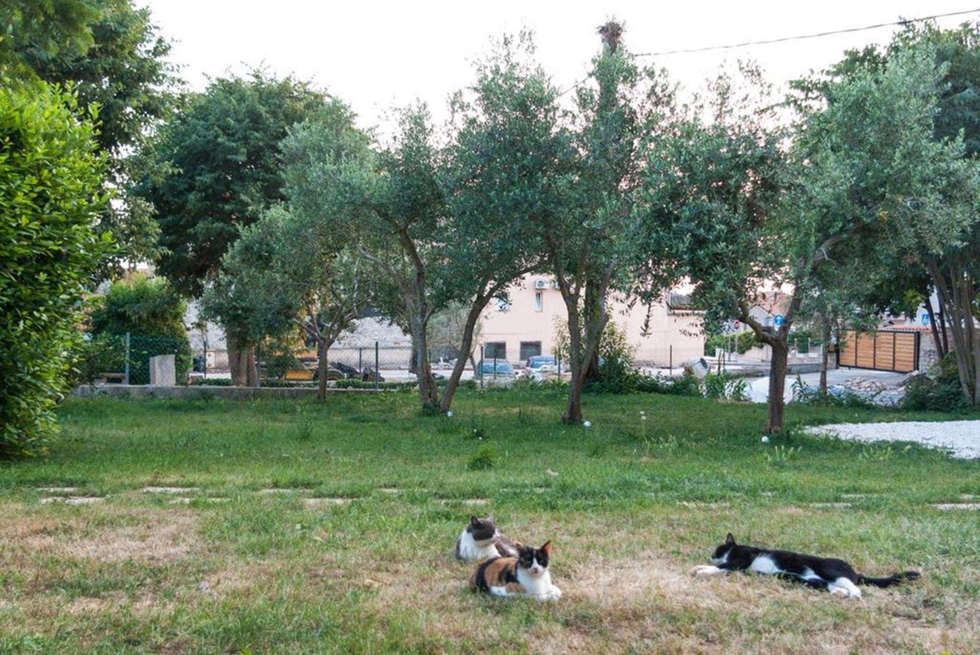 Villa Mediterranea - Apartments Medulin Habitación foto